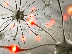 Новый белок. Ключевое звено восстановительной неврологии?