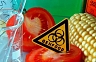 Украинцы смогут выявлять ГМО в продуктах
